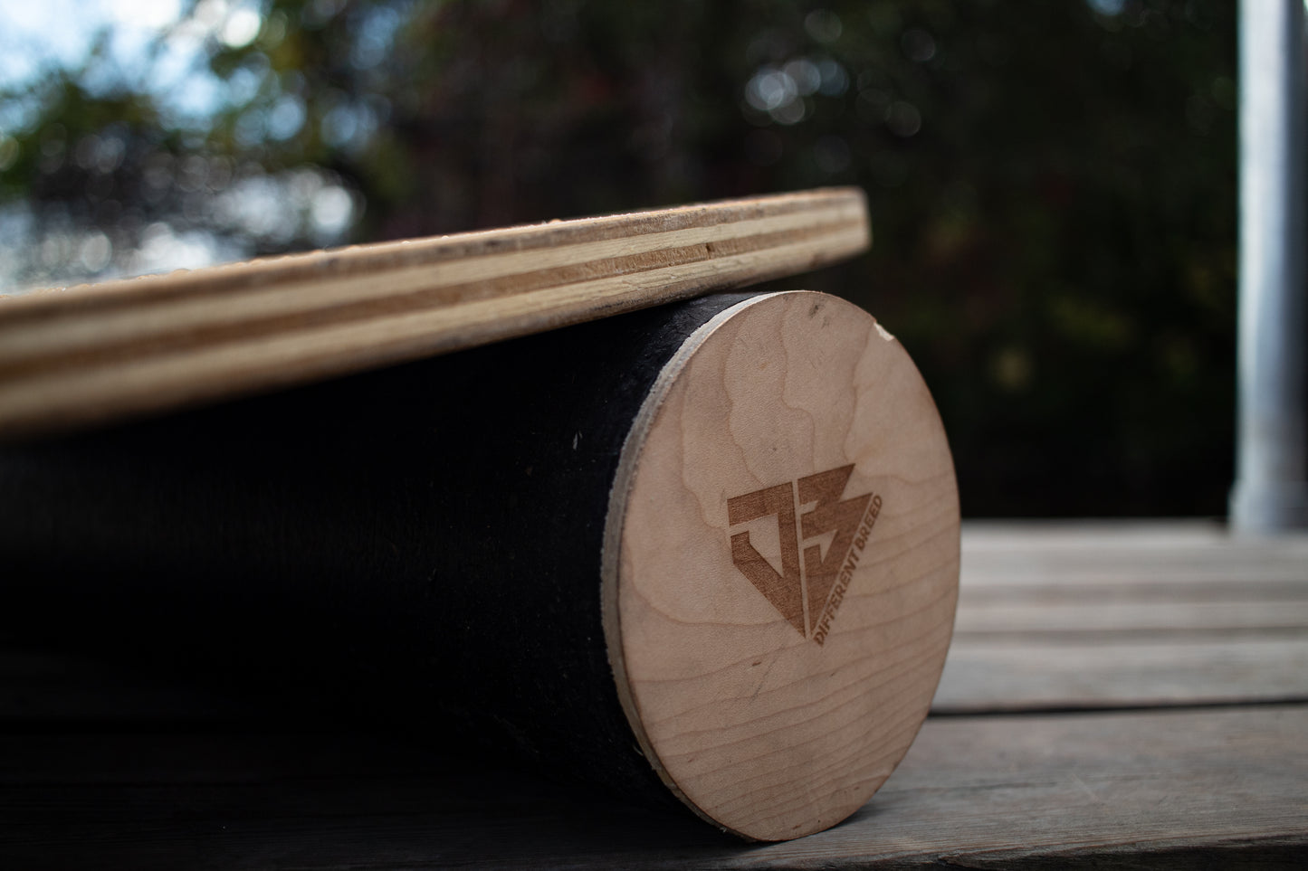 The Original Balance Board