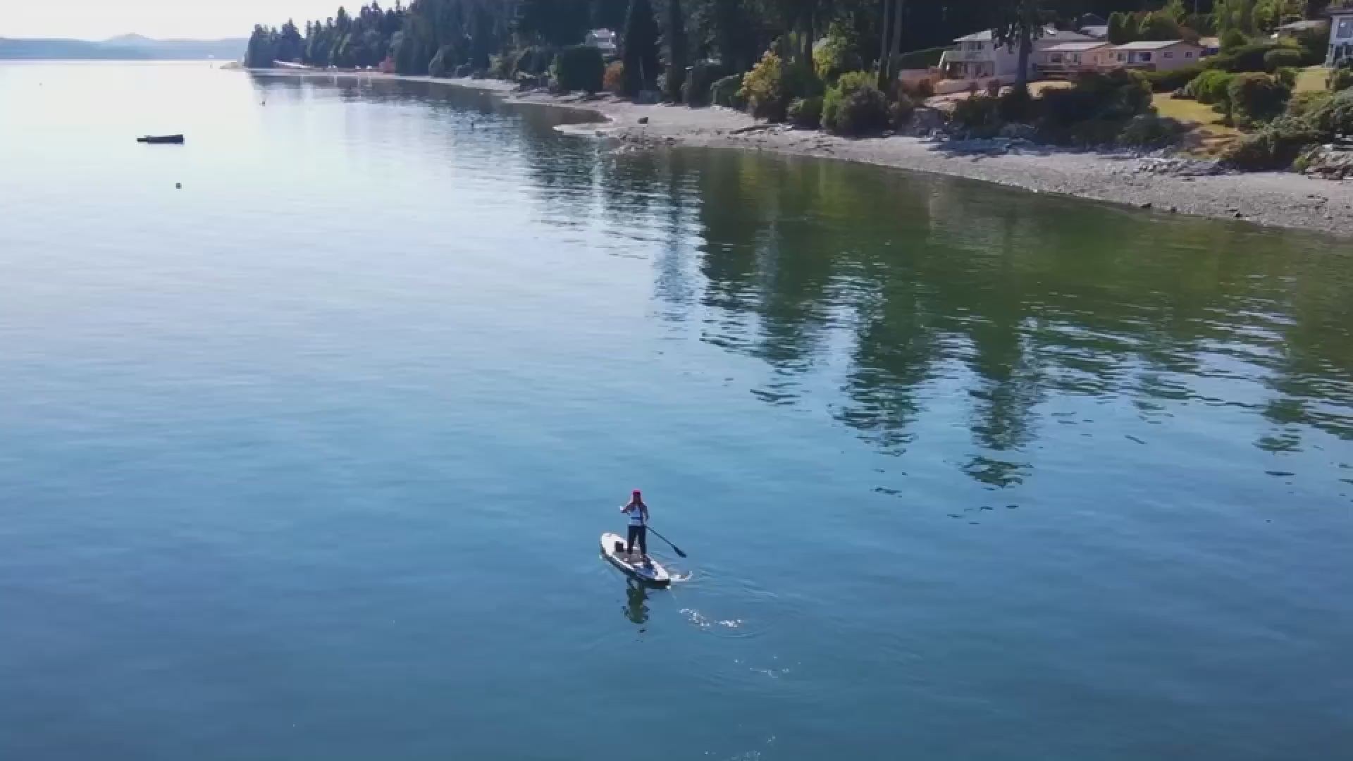 Load video: The best Paddleboarding adventure with Different Breed